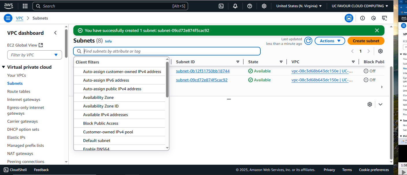 AWS public and private subnets created